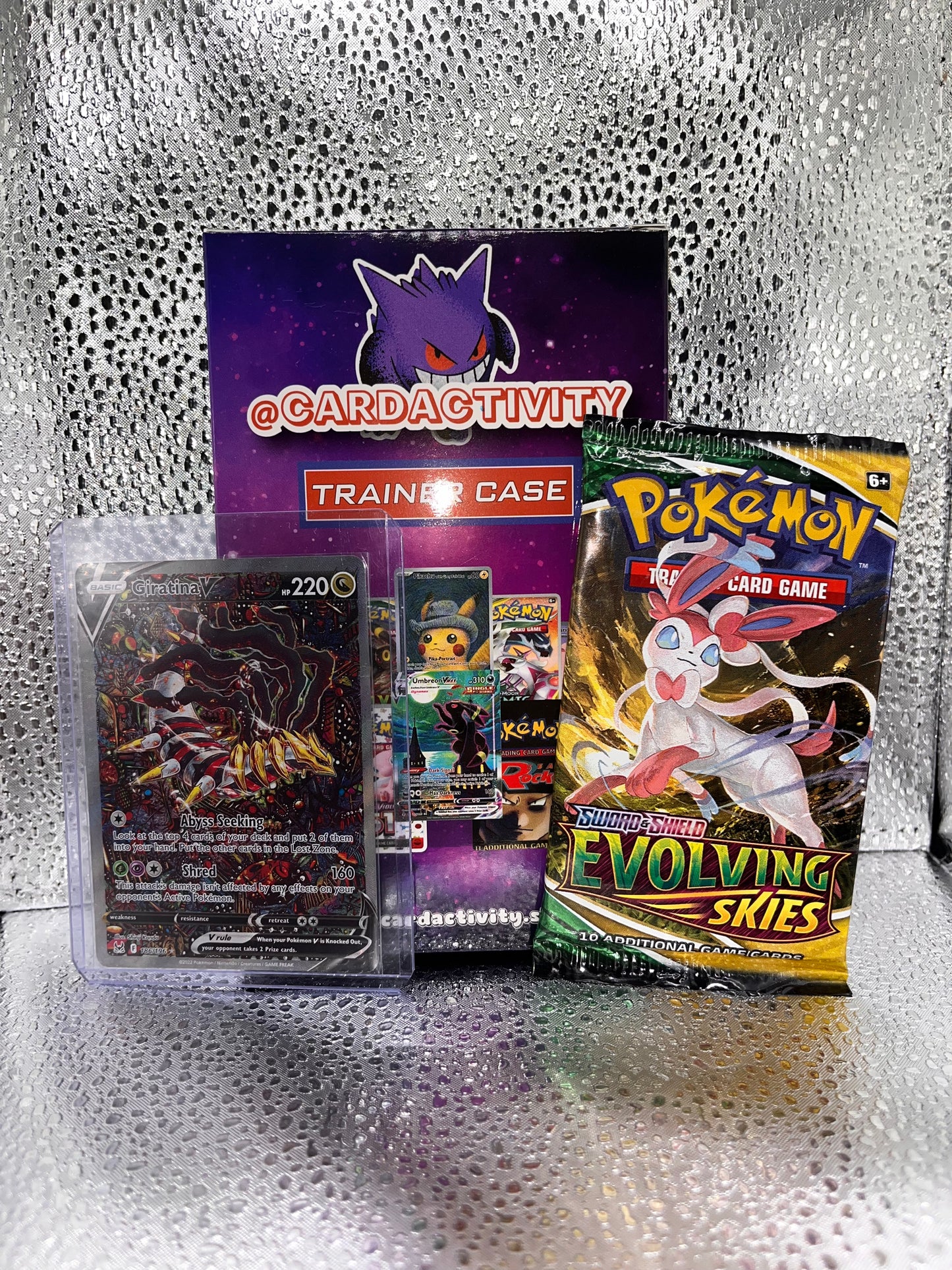Deluxe Trainer Case